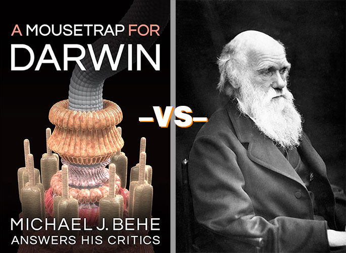 Michael Behe's latest book challenges the claims of Darwinism