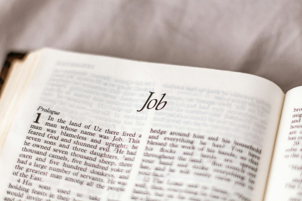 The Bible and Suicide in the book of Job